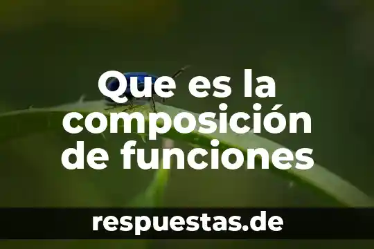 Qué es lo que se investigará 7 Que es la composición de funciones