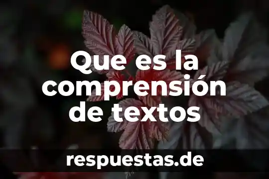 Que es la comprensión de textos