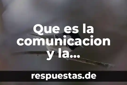 Qué es una representación social en psicología 7 Que es la comunicacion y la representacion tecnica