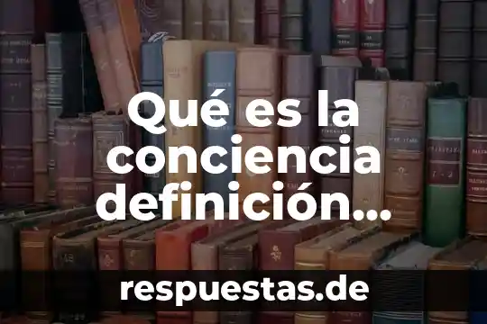 Qué es la conciencia definición filosófica michel onfray