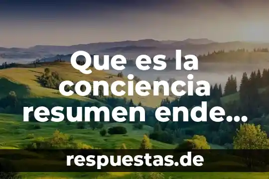Que es la cultura chavin resumen 6 Que es la conciencia resumen ende inglés
