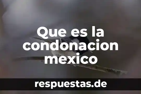 Que es la ce mexico 3 Que es la condonacion mexico