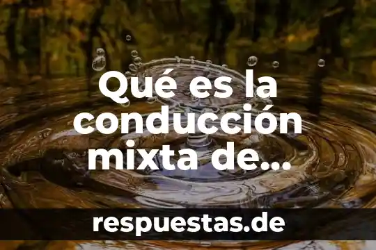 Qué es la conducción mixta de higiene y seguridad