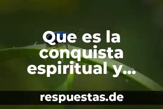 Qué es el magnesia como material cerámico 5 Que es la conquista espiritual y material