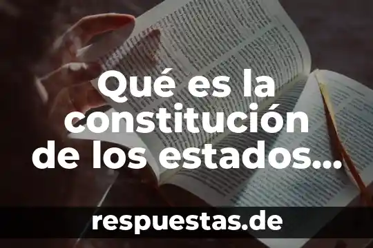 Qué es número de identificación fiscal estatal en estados unidos 5 Qué es la constitución de los estados unidos mexicanos