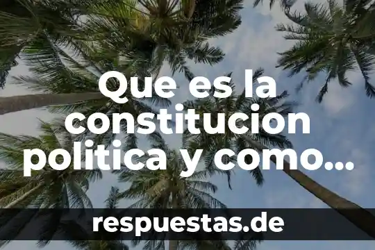 Investigar qué es la política en la historia 5 Que es la constitucion politica y como esta estructurada