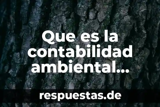 Que es la planta de tomates verdes 5 Que es la contabilidad ambiental segun autores