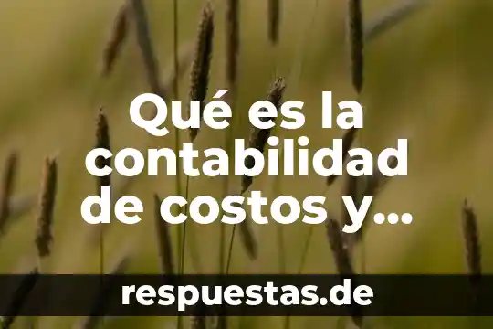 Que es la administracion de costos universalidad 8 Qué es la contabilidad de costos y administración de costos