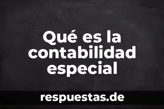 Qué es la contabilidad especial