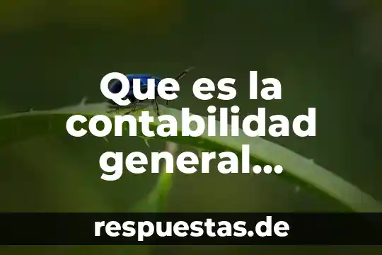 Que es el ente publico en la contabilidad gubernamental 4 Que es la contabilidad general instrumento de contadores publicos
