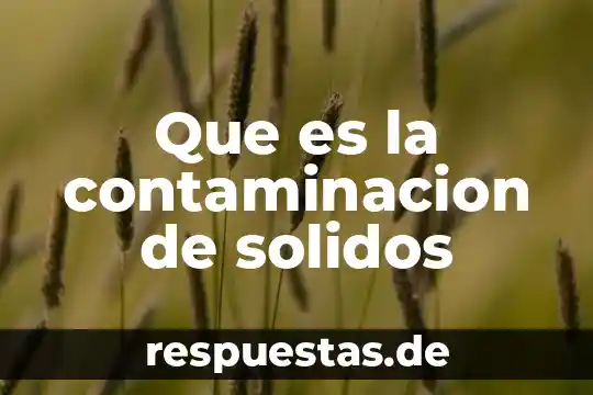 ¿Qué es los líquidos sólidos? 3 Que es la contaminacion de solidos