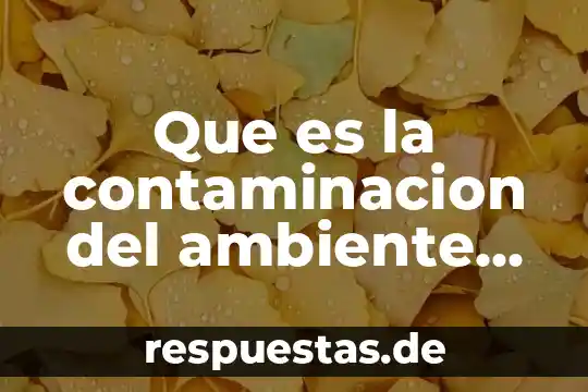 Que es el ambiente frustante 8 Que es la contaminacion del ambiente natural
