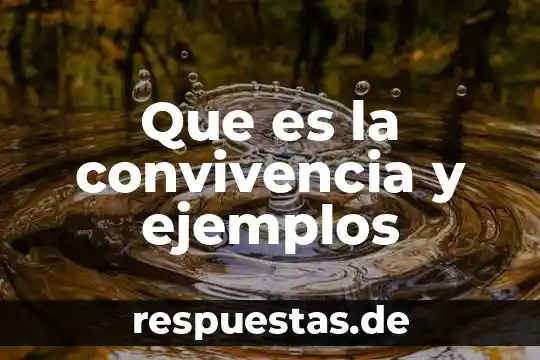 Qué es una proposición universal ejemplos 3 Que es la convivencia y ejemplos