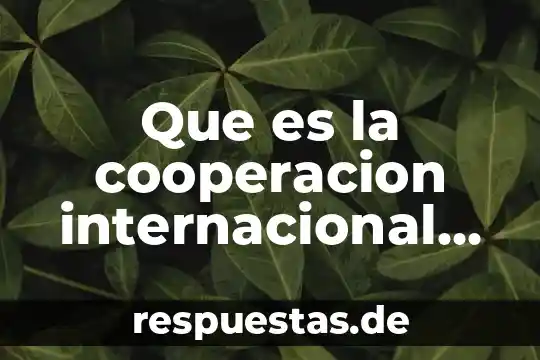 Que es sociedad mutua cooperacion 7 Que es la cooperacion internacional procesal