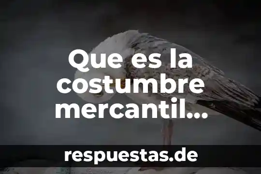 Que es una sociedad mercantil de hecho 6 Que es la costumbre mercantil internacional