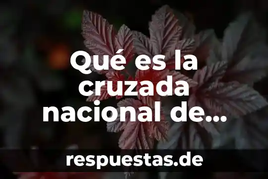 Qué es el himno nacional y su historia 7 Qué es la cruzada nacional de saldos