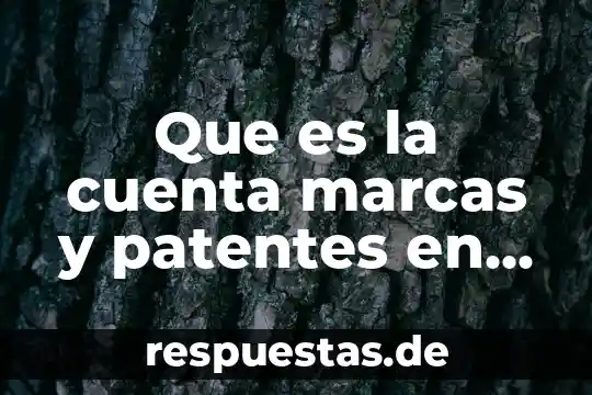 Que es son marcas de pago 7 Que es la cuenta marcas y patentes en contabilidad