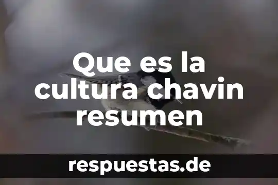 Resumen general de que es la ciencia y la tecnología 4 Que es la cultura chavin resumen