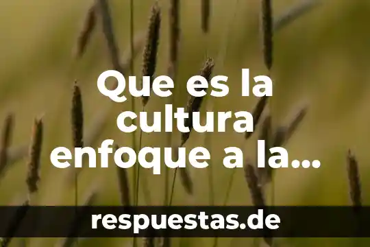 Que es la cultura enfoque a la etica