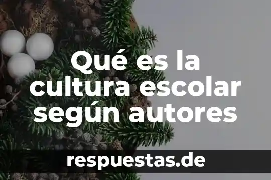 Que es mineria segun autores 7 Qué es la cultura escolar según autores