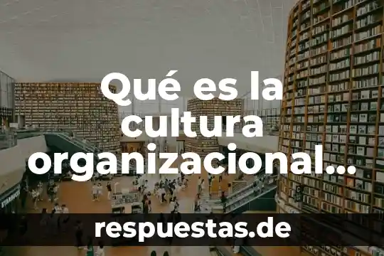 Qué es el etorno organizacional 5 Qué es la cultura organizacional según Stephen Robbins
