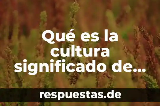 Que es el significado de diagrama 8 Qué es la cultura significado de historia
