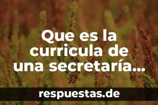 Que es un campo de energia escudo 4 Que es la curricula de una secretaría de energia