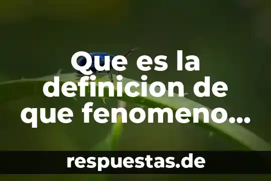 Qué es antonimia definición 5 Que es la definicion de que fenomeno reprenceta