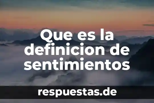 Qué es un bodegón definición 5 Que es la definicion de sentimientos