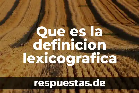 Que es la definicion lexicografica