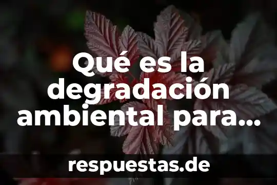 Que es conciencia ambiental ejemplos 6 Qué es la degradación ambiental para niños