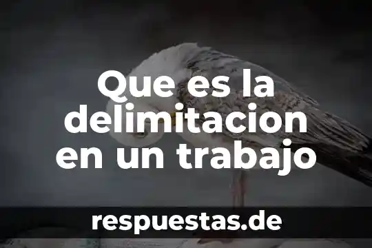 Ergonomia en el trabajo que es 6 Que es la delimitacion en un trabajo