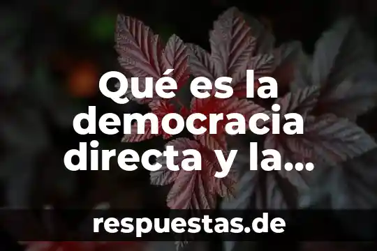 Que es ventilacion directa e indirecta en goggles de seguridad 8 Qué es la democracia directa y la democracia indirecta