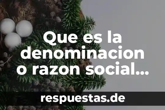Que es el nombre denominacion o razon social 5 Que es la denominacion o razon social Yahoo