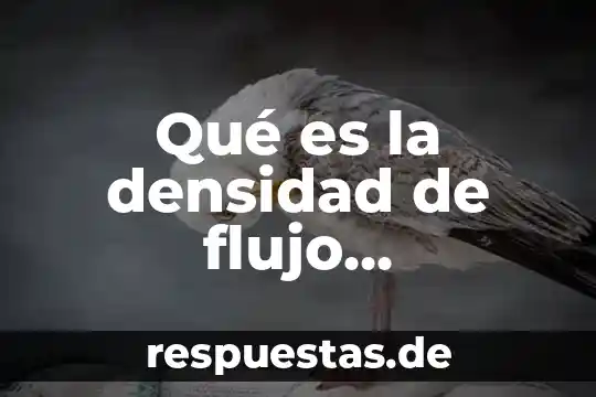 Que es el radicalismo yahoo 5 Qué es la densidad de flujo magnético yahoo