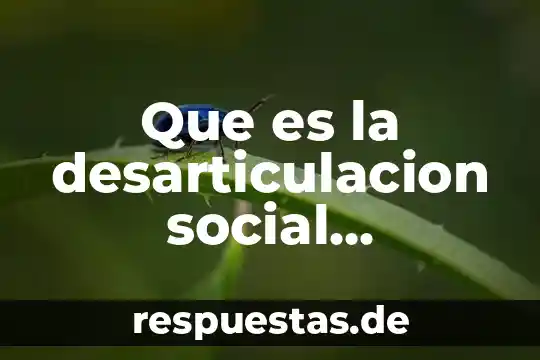 Qué es razón social o número 4 Que es la desarticulacion social psicología