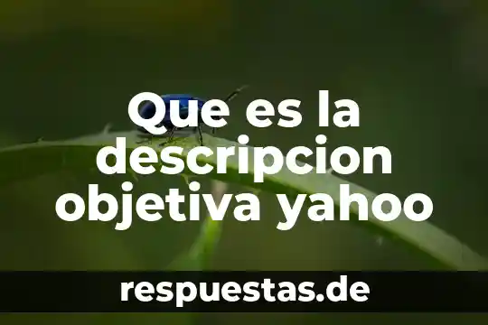 Que es un principio Yahoo 8 Que es la descripcion objetiva yahoo