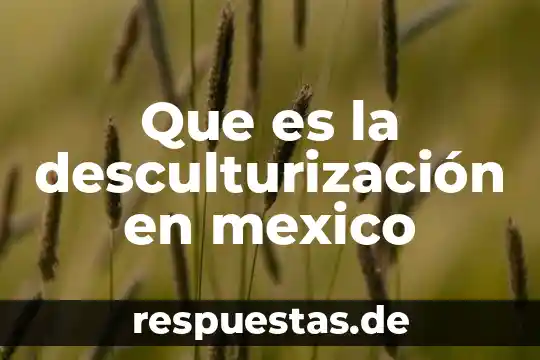 Que es para ti la bandera de mexico 7 Que es la desculturización en mexico
