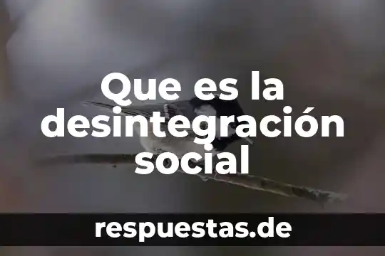 Que es la desigualdad social en historia 4 Que es la desintegración social