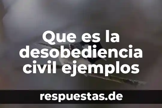 Qué es antítesis en literatura y ejemplos 4 Que es la desobediencia civil ejemplos