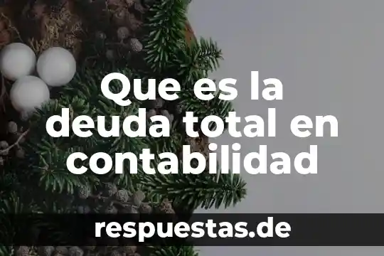 Qué es area total de planta de un edificio 7 Que es la deuda total en contabilidad