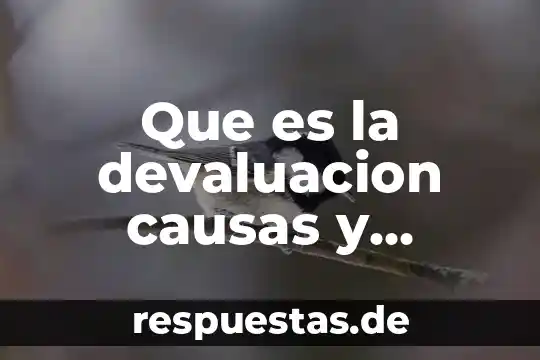 Que es la devaluacion causas y consecuencias