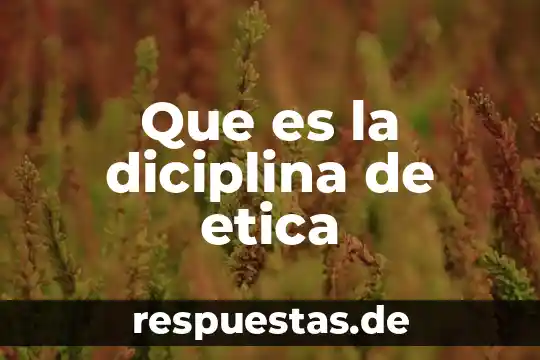 Que es la etica materialista de aristoteles 6 Que es la diciplina de etica