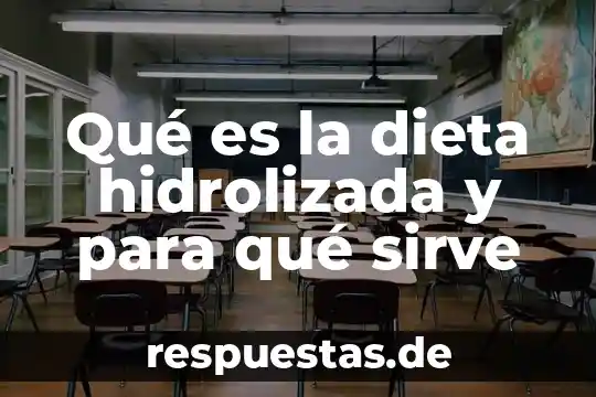 Que es y para que sirve el conocimiento de embarque 3 Qué es la dieta hidrolizada y para qué sirve