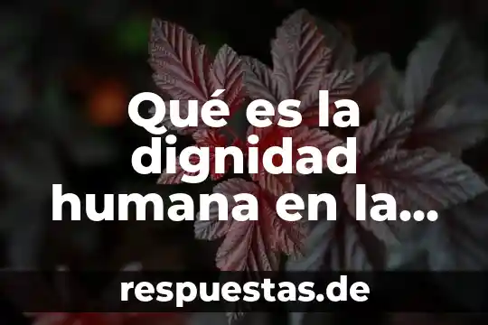 Libro que es la bioética vida y dignidad 8 Qué es la dignidad humana en la ética