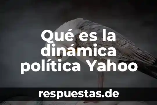 Qué es un borrego en política 4 Qué es la dinámica política Yahoo