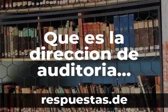 Posición, movimiento o dirección de los objetos que es 5 Que es la direccion de auditoria interna
