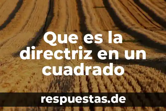 Que es el archivo default-capability.xml 4 Que es la directriz en un cuadrado