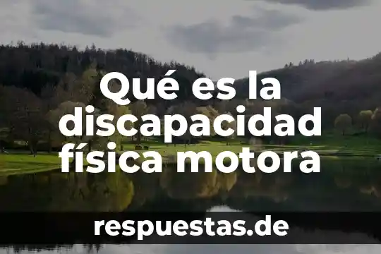 Qué es la discapacidad física motora