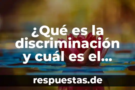 Que es una antologia y cual mes su funcion 4 ¿Qué es la discriminación y cuál es el más usado?